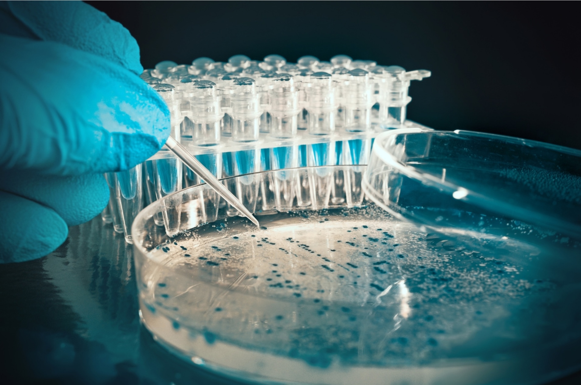 biotech